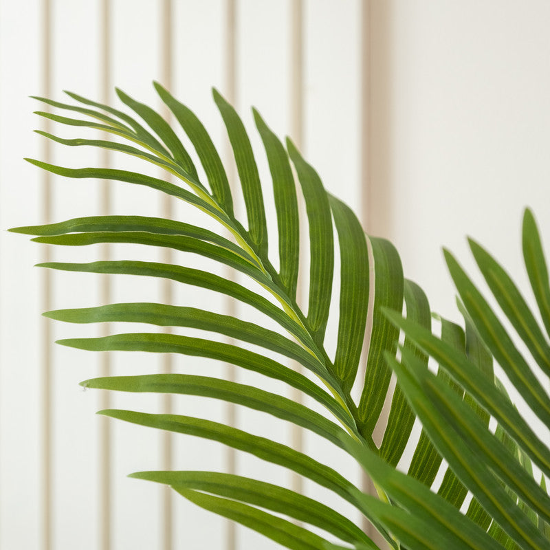155cm Real Touch Pearl Palm Tree